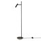 Торшер Maytoni Estudo Z010FL-L8B3K Z010FL-L8B3K - фото 11694