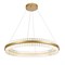 Светильник подвесной ST Luce CHERIO SL383.223.01 SL383.223.01 - фото 12482
