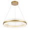 Светильник подвесной ST Luce CHERIO SL383.213.01 SL383.213.01 - фото 12488