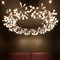 Люстра Moooi Heracleum The Big O by Bertjan Pot D160 MH20574